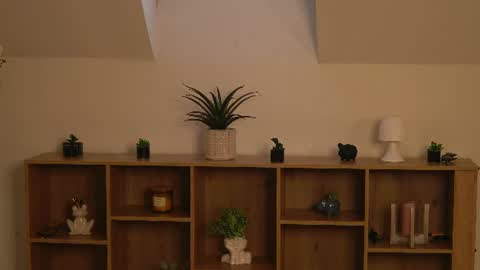 Cassi online show from 08-04-26, 03:10