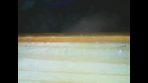 castells online show from 12-15-25, 06:01