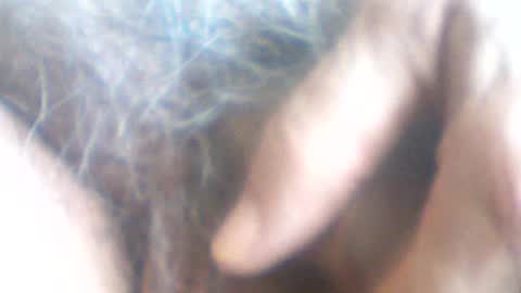 castells online show from 07-07-26, 02:43