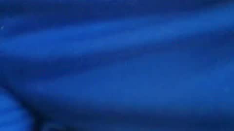 castells online show from 07-29-26, 03:21