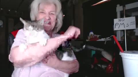 Snapshot of cat9paw chatting on 02-05-25, 06:26 cat online show from 02-05-25, 06:26