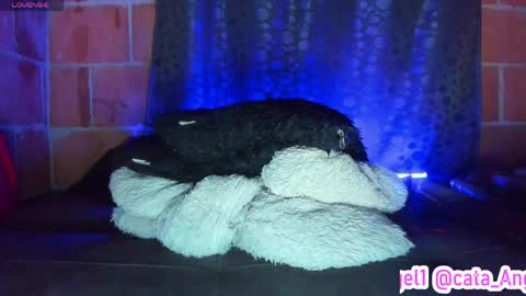 Cata Angel online show from 04-28-26, 12:09
