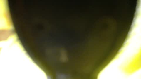catalina201 online show from 06-13-26, 02:09