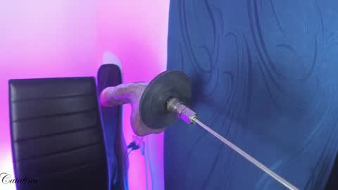 Cata  Monday- Saturday   On line at 0100pm-0700pm online show from 12-17-24, 10:34