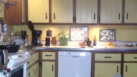 CATALYSTIC online show from 02-20-25, 10:05