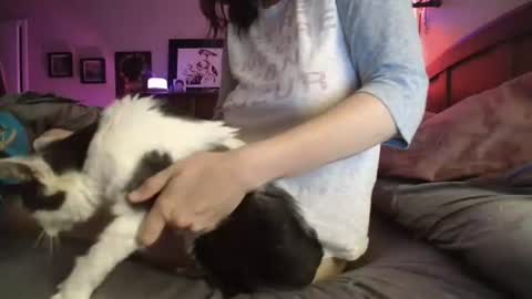 Snapshot of catnips_cabaret chatting on 07-10-26, 03:00 some call me djcatnips some call me CC but i love it when you call me miss catnips online show from 07-10-26, 03:00