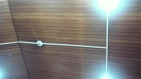 caylincollins online show from 02-02-26, 12:48