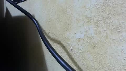 Snapshot of celhoduro23c chatting on 11-28-25, 08:55 celhoduro23c online show from 11-28-25, 08:55