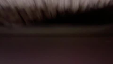 Snapshot of cenobitfor chatting on 03-06-26, 11:28 cenobitfor online show from 03-06-26, 11:28