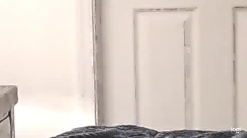 Snapshot of cfnmkinky28 chatting on 12-24-24, 03:05 cfnmkinky28 online show from 12-24-24, 03:05