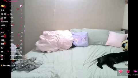 Cherry online show from 04-09-26, 10:48