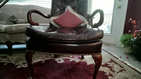 Snapshot of chadinlust1 chatting on 12-03-24, 07:11 chad online show from 12-03-24, 07:11