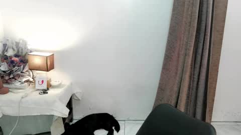 Snapshot of chakadal_xx chatting on 11-20-25, 06:46 chakadal_xx online show from 11-20-25, 06:46