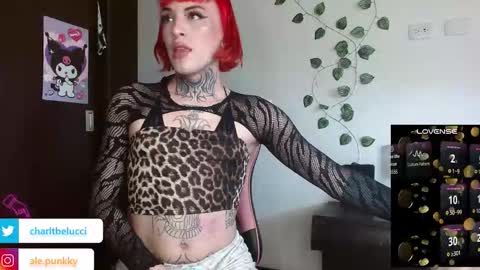Ale punky online show from 03-26-26, 05:07