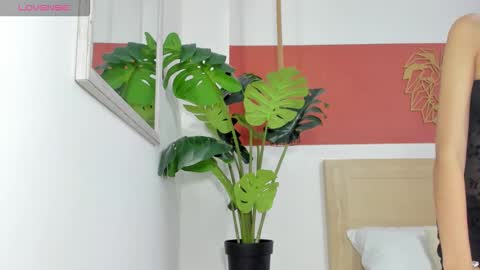 C H A R L O T E online show from 03-01-26, 02:13