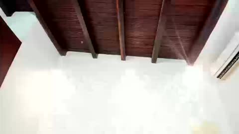 Snapshot of charlothe_01 chatting on 03-11-26, 09:32 Charlot online show from 03-11-26, 09:32