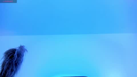 Snapshot of charlotte_whitee1 chatting on 10-12-25, 11:53 Charlotte Everyday From 0700 to 1300 Col Time online show from 10-12-25, 11:53