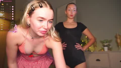 Snapshot of charming_daisy chatting on 01-31-25, 03:30 my fansly Charming daisy My Wishlist for new toys online show from 01-31-25, 03:30