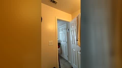 Snapshot of chase2attract chatting on 03-04-26, 06:03 Chase2Attract online show from 03-04-26, 06:03