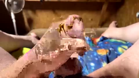 Snapshot of chasepeewee2 chatting on 02-16-25, 03:58 chasepeewee2 online show from 02-16-25, 03:58