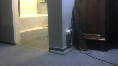 Snapshot of chaturbatordeluxe chatting on 06-28-26, 04:18 chaturbatordeluxe online show from 06-28-26, 04:18