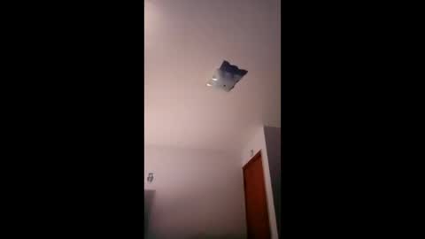 cheeze111 online show from 04-29-26, 10:19