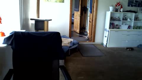 Snapshot of chefben666 chatting on 03-31-26, 03:56 chefben666 online show from 03-31-26, 03:56