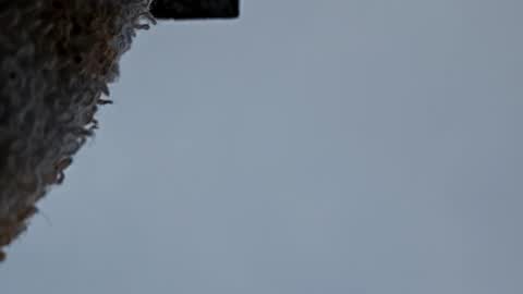 Snapshot of cheffydl chatting on 11-09-25, 12:47 cheffydl online show from 11-09-25, 12:47