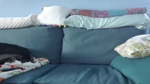 Snapshot of chelseasentra1 chatting on 01-15-25, 08:37 Chelsea online show from 01-15-25, 08:37