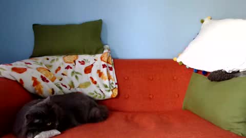 Snapshot of chelseasentra1 chatting on 09-23-25, 01:25 Chelsea online show from 09-23-25, 01:25