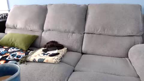 Snapshot of chelseasentra1 chatting on 02-02-26, 04:49 Chelsea online show from 02-02-26, 04:49