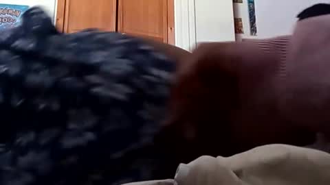 ChemicalX  online show from 03-09-26, 08:13