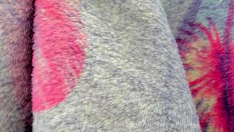 Snapshot of cherry_pussy1 chatting on 10-06-25, 09:40 Mia online show from 10-06-25, 09:40