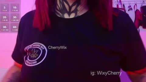 Snapshot of cherrywix chatting on 02-13-25, 02:34 cherrywix online show from 02-13-25, 02:34