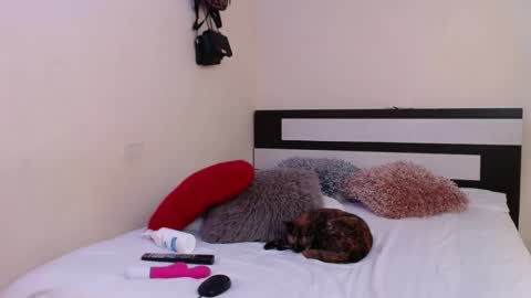 Snapshot of chikandela chatting on 01-04-25, 01:52 Valentina online show from 01-04-25, 01:52