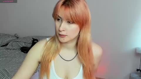 Snapshot of choco_meowx chatting on 05-21-26, 09:16 choco_meowx online show from 05-21-26, 09:16