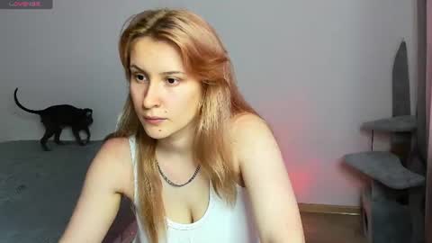 Snapshot of choco_meowx chatting on 06-29-26, 08:53 choco_meowx online show from 06-29-26, 08:53