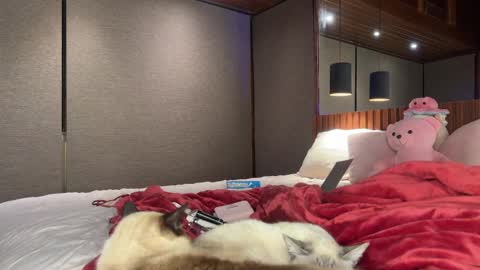 Christina Sage online show from 09-18-25, 04:03