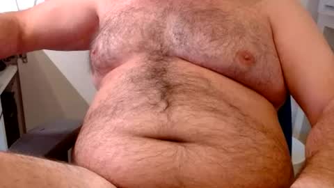 Chubby Bear BY online show from 07-01-26, 07:54