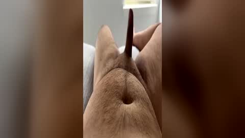 chubbydick9069 online show from 06-15-26, 04:20
