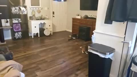 Snapshot of chubbyhubbyy420 chatting on 09-12-25, 01:44 ChubbyHubby420 online show from 09-12-25, 01:44