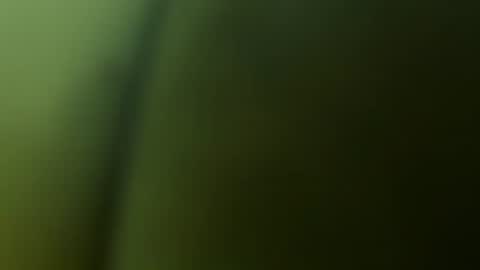 Snapshot of chuckyschick69 chatting on 12-03-25, 04:53 chuckyschick69 online show from 12-03-25, 04:53