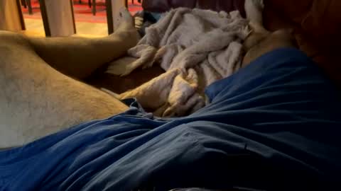 Snapshot of cj3d2 chatting on 12-13-24, 09:52 Cjd32 online show from 12-13-24, 09:52