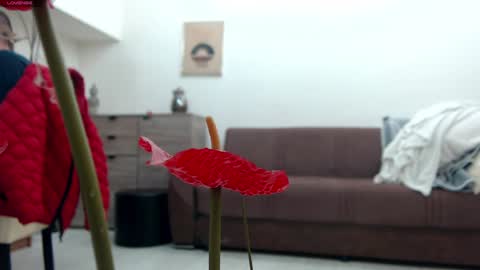 Snapshot of classy_medeeea chatting on 12-22-24, 09:44 Deea xxx online show from 12-22-24, 09:44