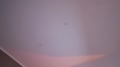 Snapshot of cleeoadams_ chatting on 07-28-26, 11:17 Cleo Adams online show from 07-28-26, 11:17