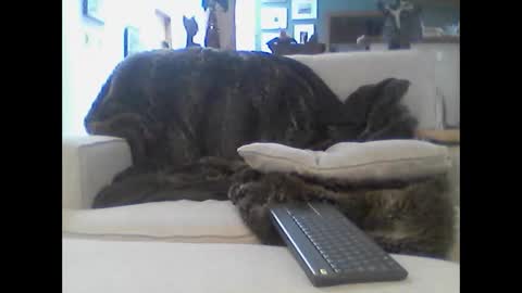 Snapshot of clitboy658752 chatting on 01-14-26, 09:42 clitboy658752 online show from 01-14-26, 09:42
