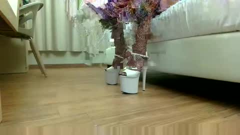 Lauratrav88 online show from 11-13-25, 10:41