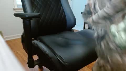 Snapshot of cobra19765 chatting on 01-17-26, 10:02 cobra19765 online show from 01-17-26, 10:02