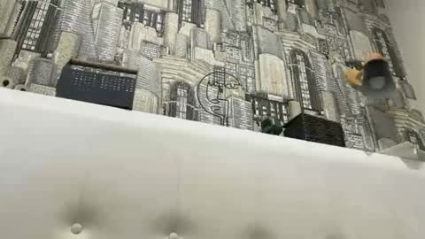 Snapshot of colambus83 chatting on 03-08-26, 02:21 colambus83 online show from 03-08-26, 02:21