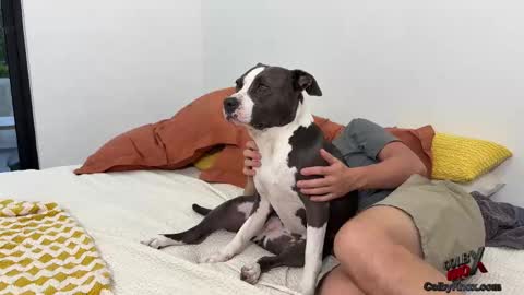 Snapshot of colbyknox chatting on 11-04-25, 10:53 colbyknox online show from 11-04-25, 10:53